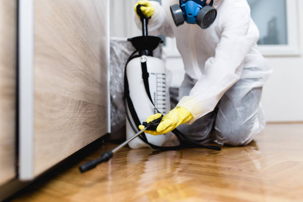 Best Exterminator Services  in Ferris, TX