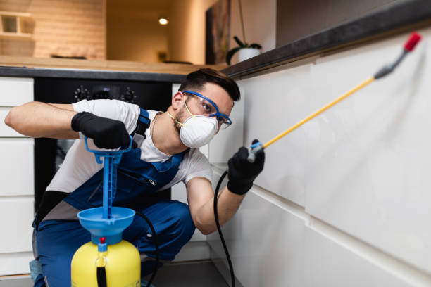 Best Pest Inspection Near Me  in Ferris, TX