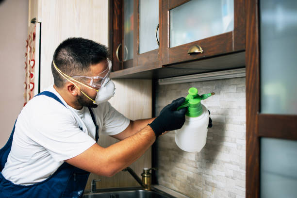 Best Residential Pest Control  in Ferris, TX