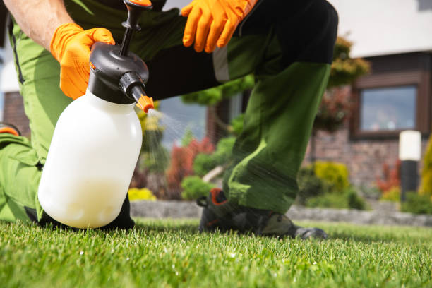 Best Cockroach Control Services  in Ferris, TX