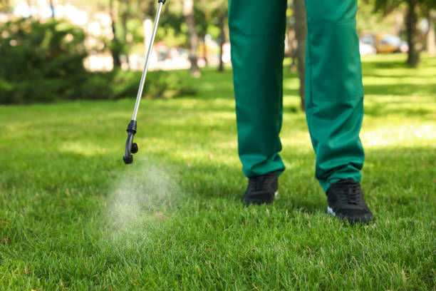 Best Pest Control for Businesses  in Ferris, TX