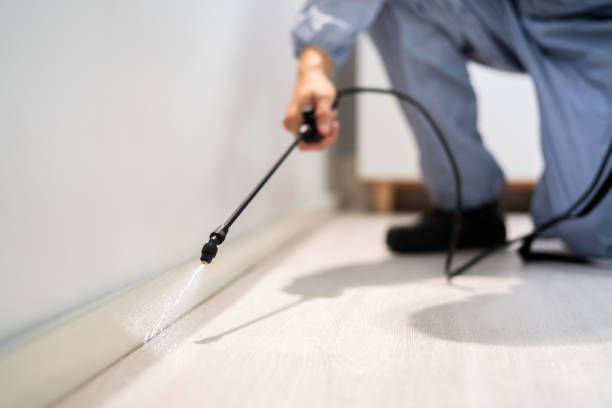 Best Commercial Pest Control Services  in Ferris, TX