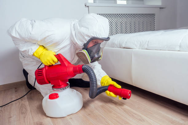 Best Cockroach Control Services  in Ferris, TX