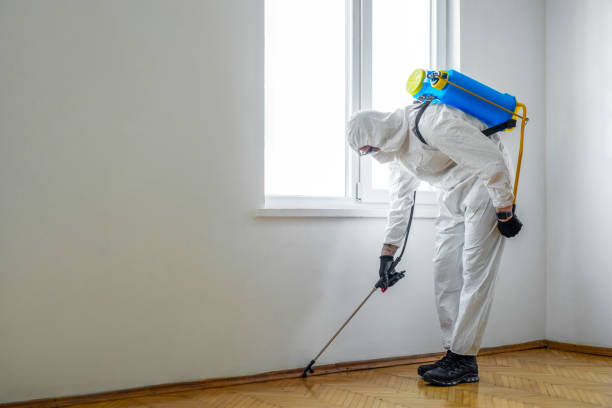 Best Wasp Removal Services  in Ferris, TX
