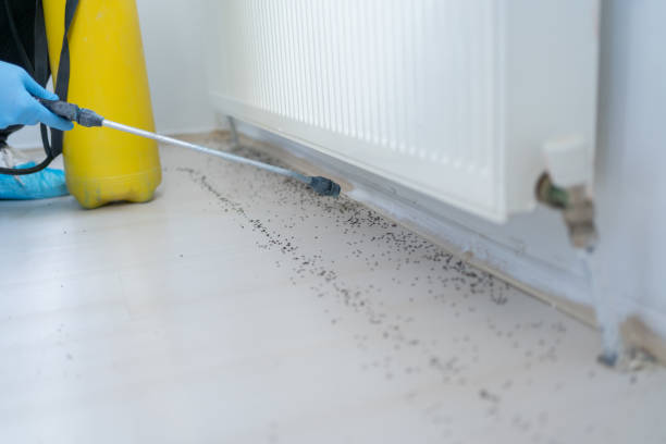 Best Wildlife Control Services  in Ferris, TX