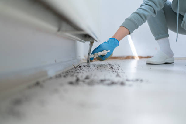 Trusted Ferris, TX Pest Control Experts